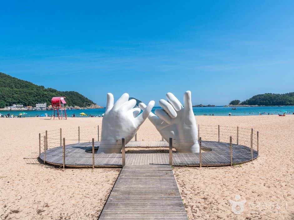 상주은모래비치 — 반려동물 동반 관광지