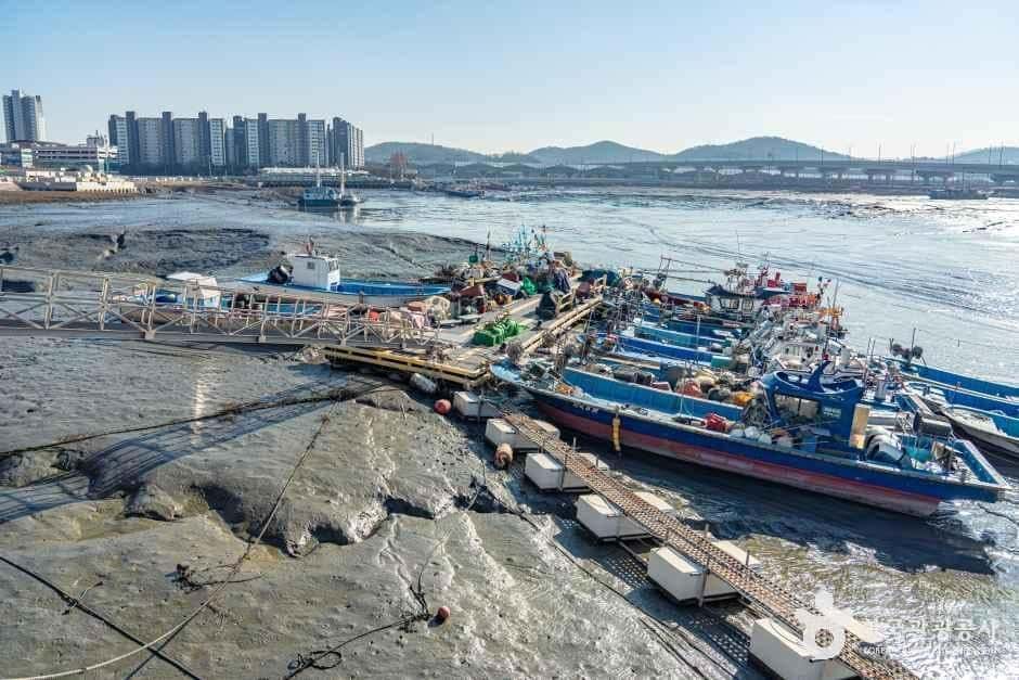 월곶포구 — 반려동물 동반 관광지