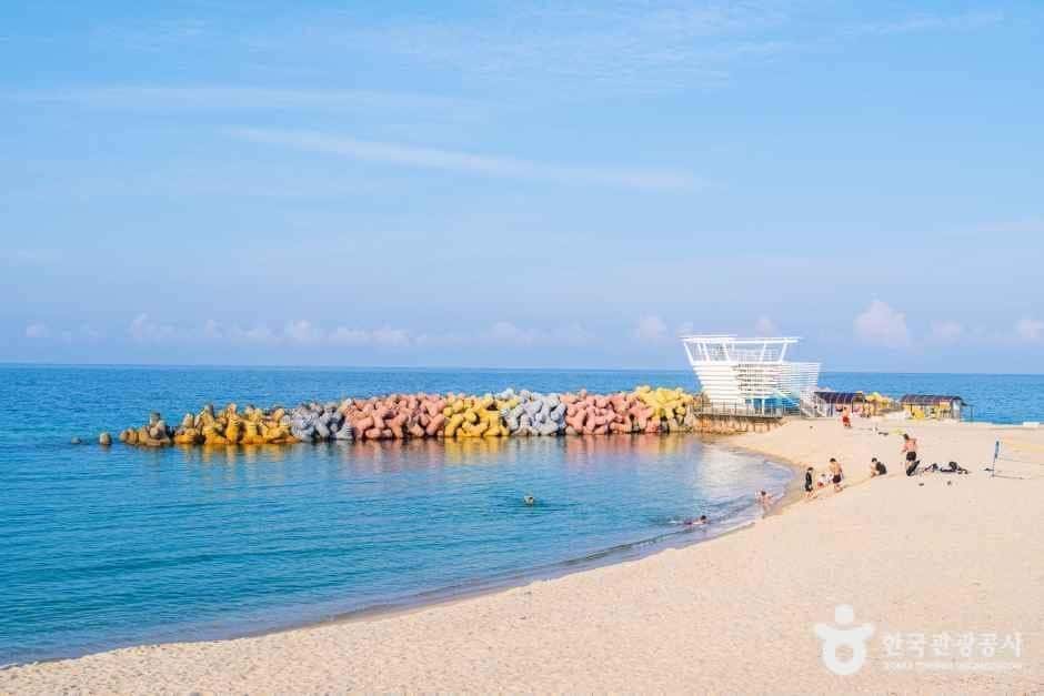사근진해변(사근진해수욕장) — 반려동물 동반 관광지