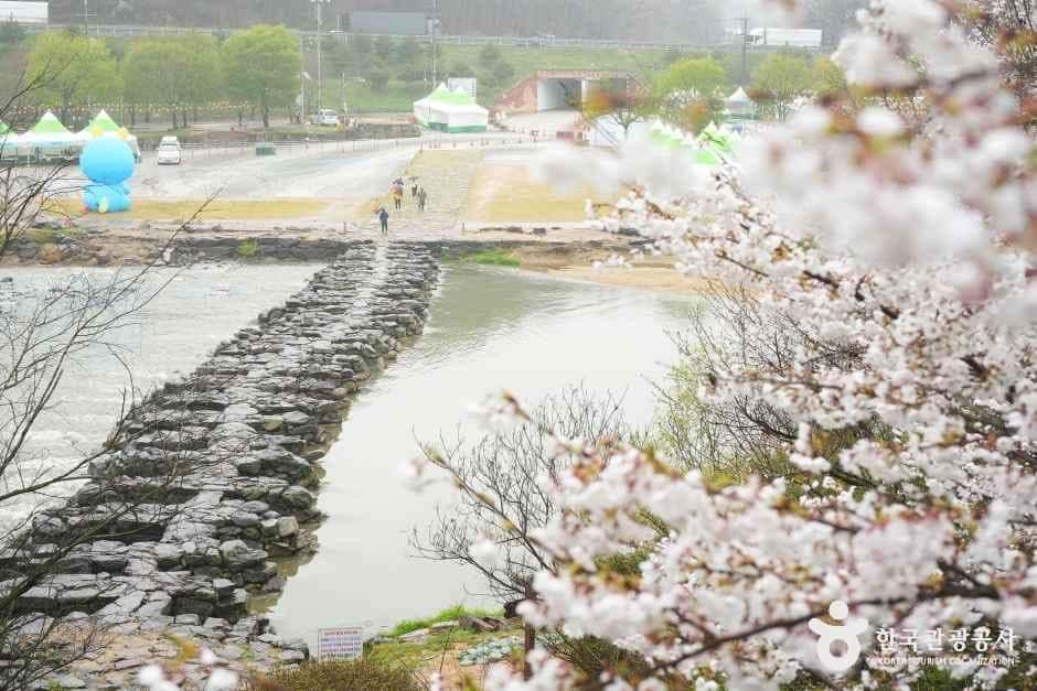 진천 농다리 — 반려동물 동반 관광지