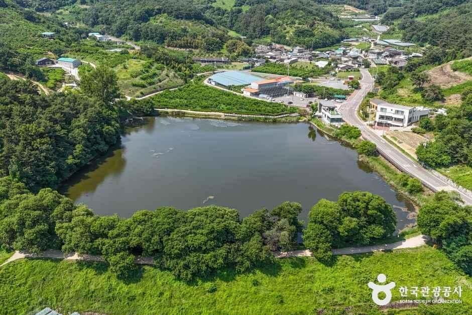 반곡지 — 반려동물 동반 관광지