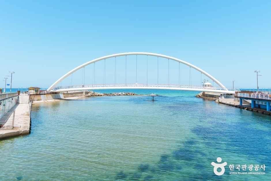 강문솟대다리 — 반려동물 동반 관광지
