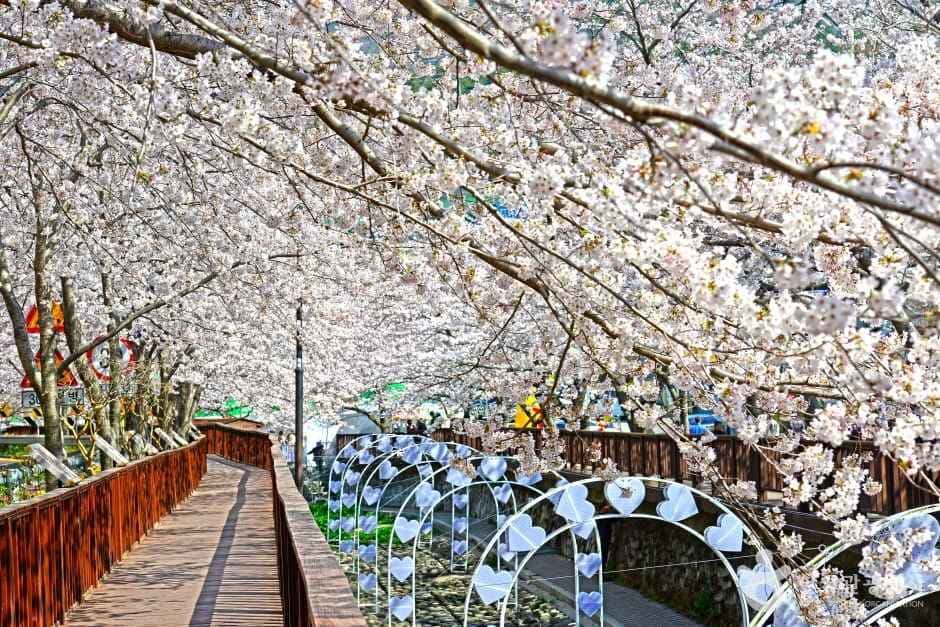 여좌천(여좌천로망스다리) — 반려동물 동반 관광지