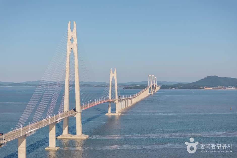 천사대교 — 반려동물 동반 관광지