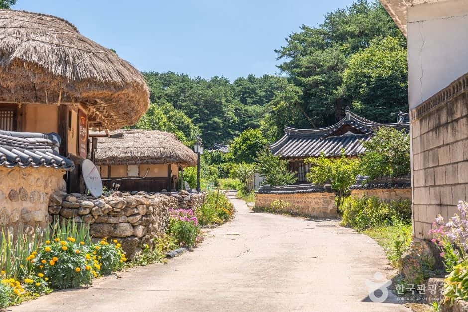 무섬마을 — 반려동물 동반 관광지