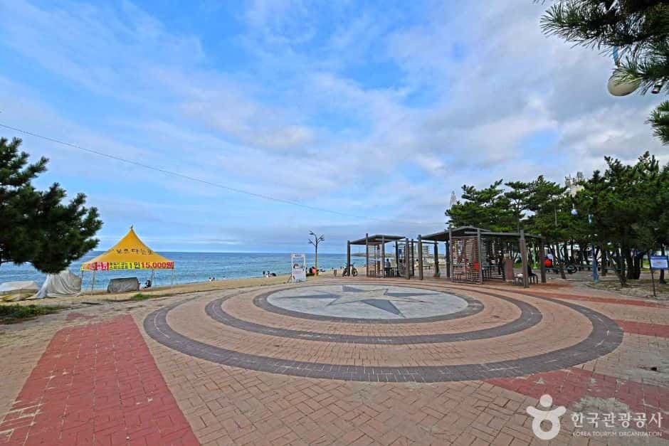 강릉 안목해맞이공원 — 반려동물 동반 관광지