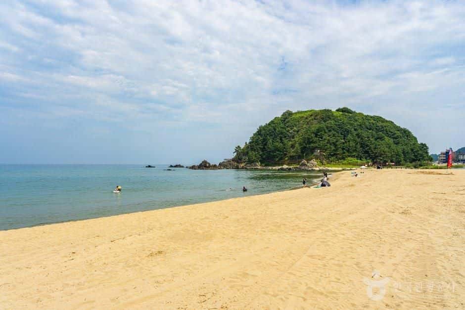 맹방해변 — 반려동물 동반 관광지