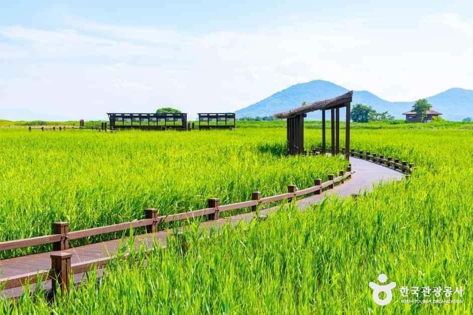 순천만습지 — 반려동물 동반 관광지