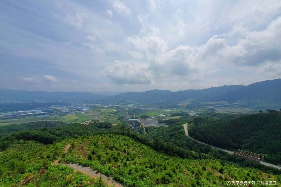 양구 펀치볼마을 (펀치볼) — 반려동물 동반 관광지