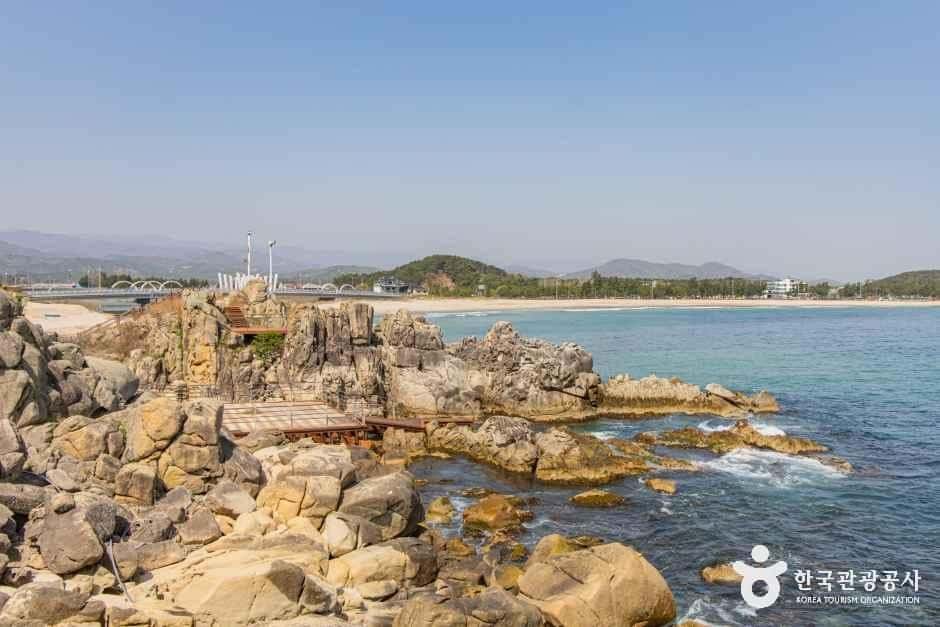 능파대 (강원평화지역 국가지질공원) — 반려동물 동반 관광지