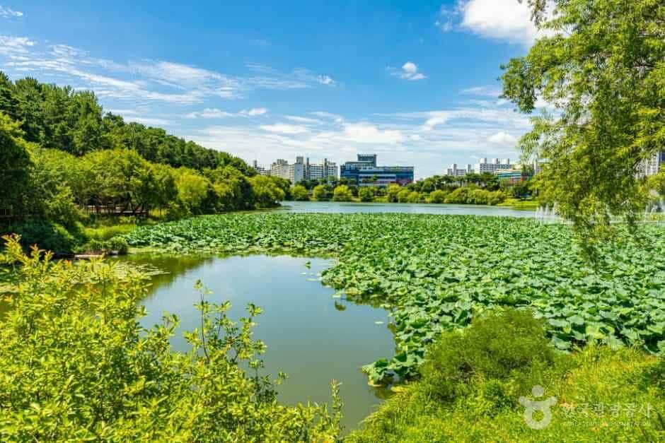 조례호수공원 — 반려동물 동반 관광지