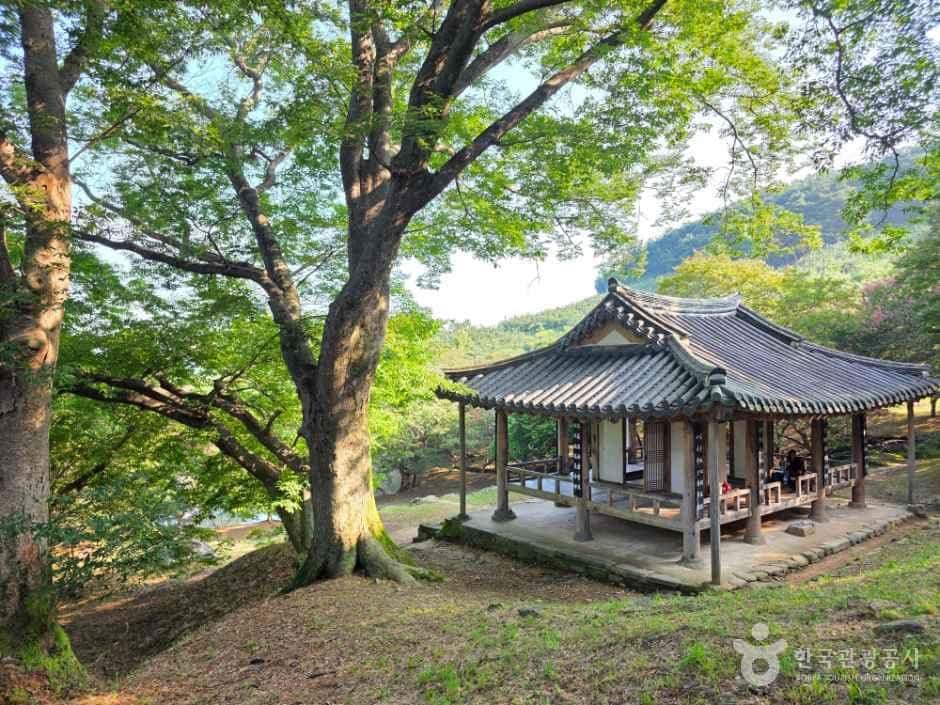 담양 명옥헌 원림 — 반려동물 동반 관광지