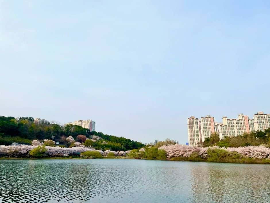 선암호수공원 — 반려동물 동반 관광지