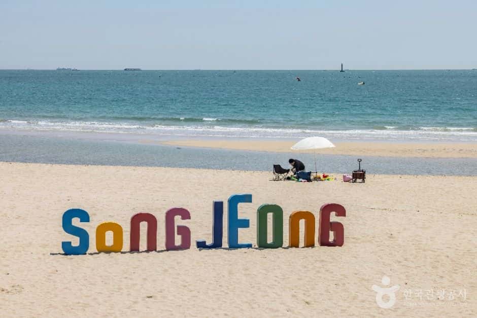 송정해수욕장 — 반려동물 동반 관광지
