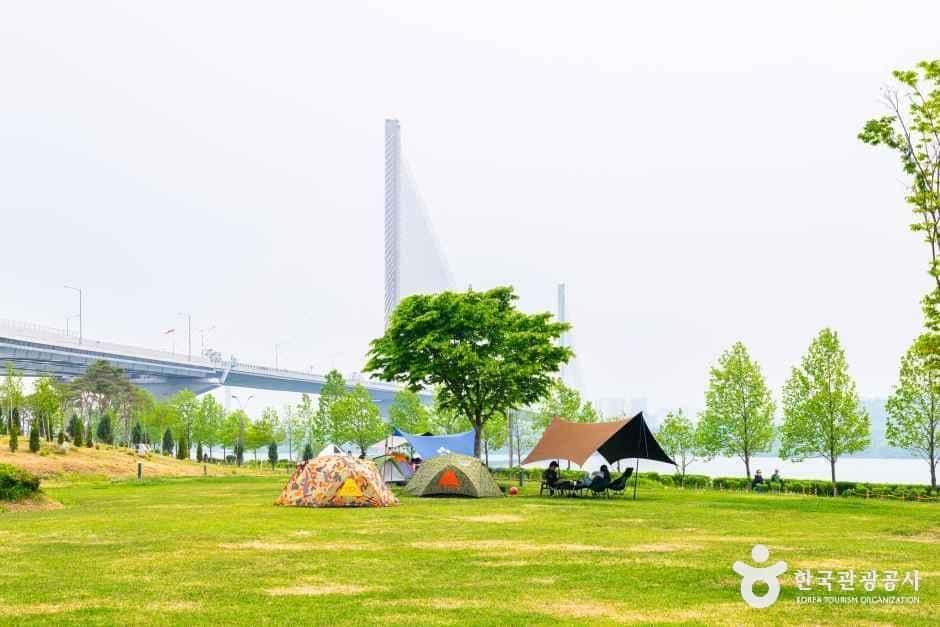 구리한강시민공원(코스모스공원) — 반려동물 동반 관광지