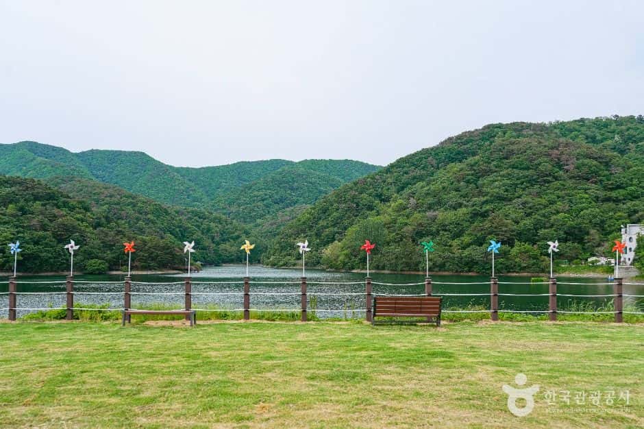 송정 박상진호수공원 — 반려동물 동반 관광지
