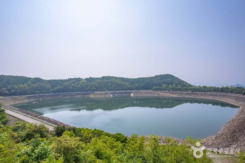 호명호수공원 — 반려동물 동반 관광지