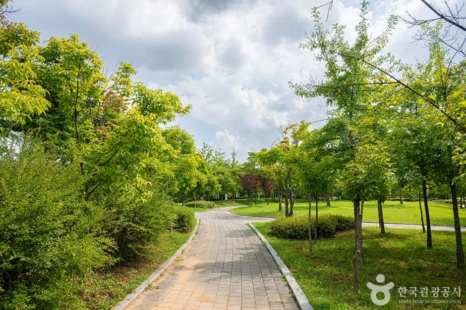 화정중앙공원 — 반려동물 동반 관광지