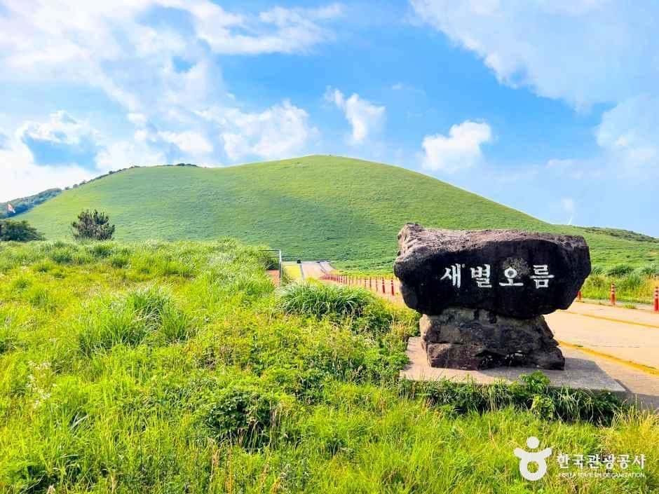 새별오름 — 반려동물 동반 관광지