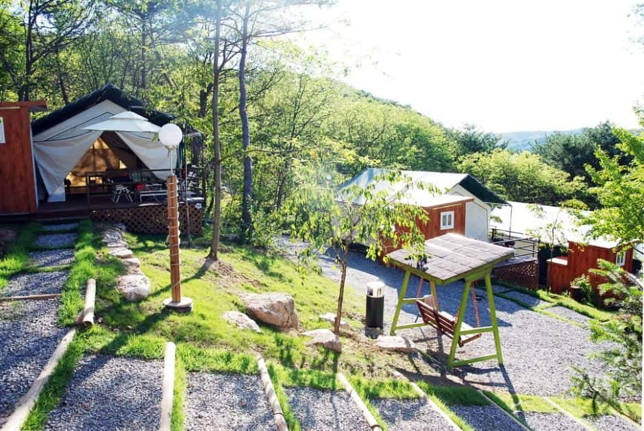 춘천숲자연휴양림엔글램핑 — 반려동물 동반 레포츠