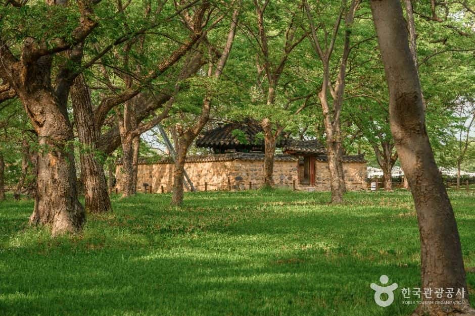 경주 계림 — 반려동물 동반 관광지