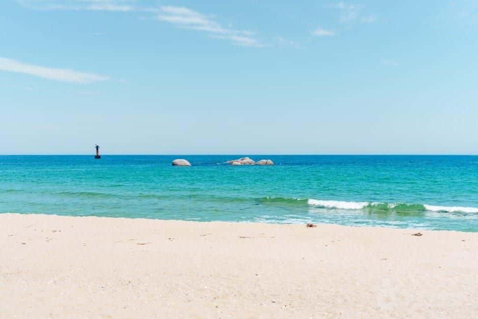 순포해변 — 반려동물 동반 관광지