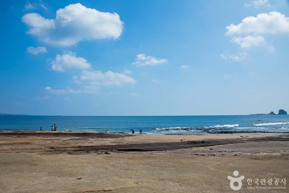사계해변 — 반려동물 동반 관광지