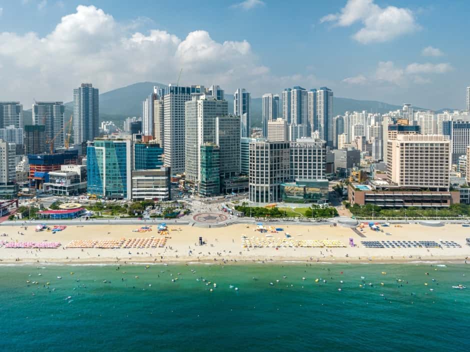 해운대해수욕장 — 반려동물 동반 관광지