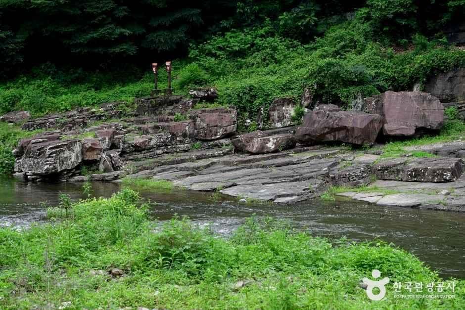 천전리각석계곡(울산) — 반려동물 동반 관광지