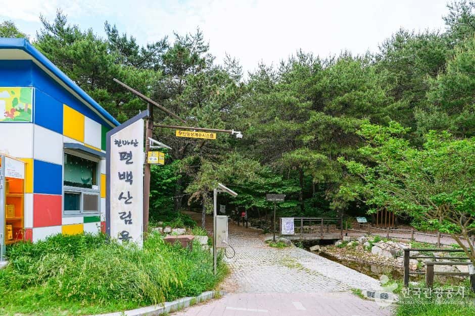 북구 편백산림욕장 — 반려동물 동반 관광지