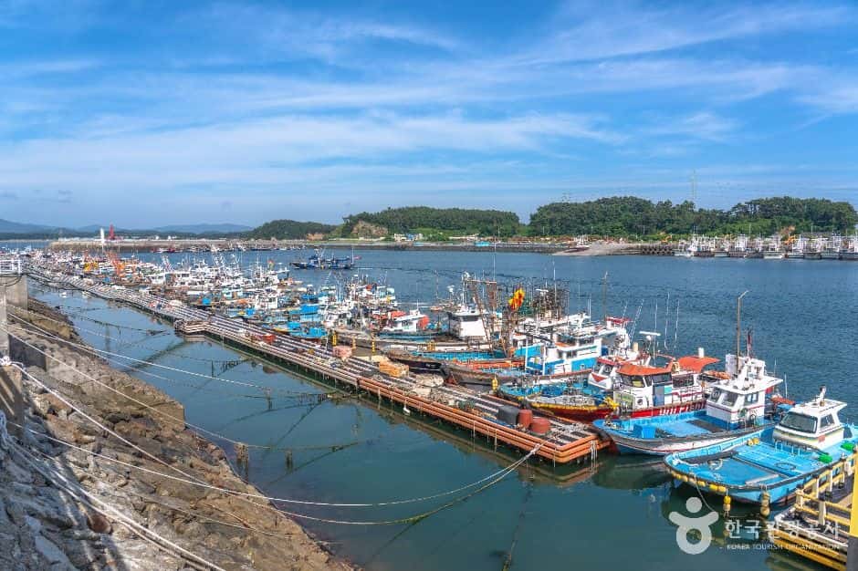 홍원항 — 반려동물 동반 관광지
