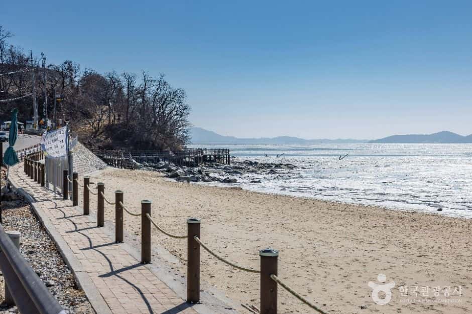 강화 동막해변 — 반려동물 동반 관광지