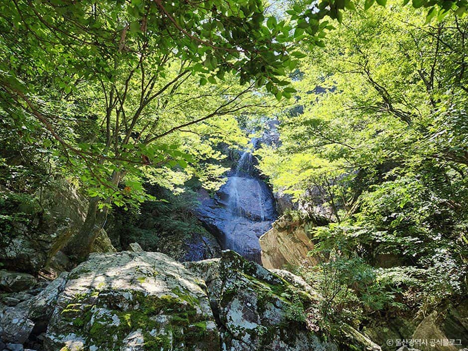 신불산군립공원 — 반려동물 동반 관광지