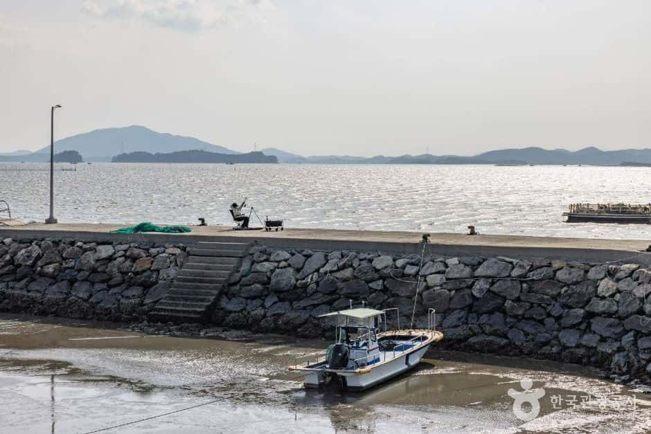 화포해변 — 반려동물 동반 관광지
