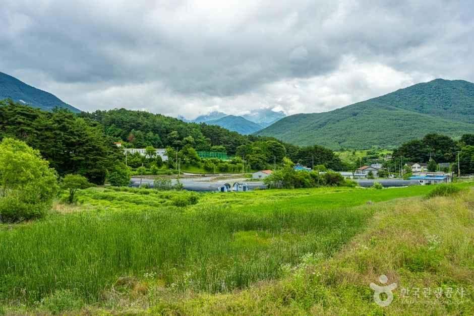 지리산 매동마을 — 반려동물 동반 관광지