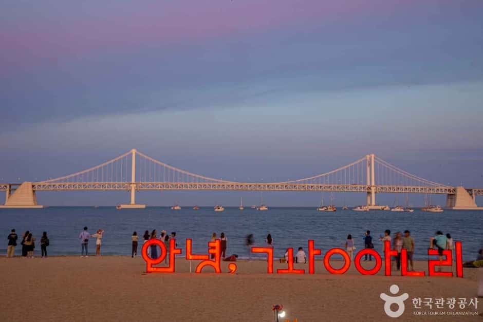 광안리해수욕장 — 반려동물 동반 관광지