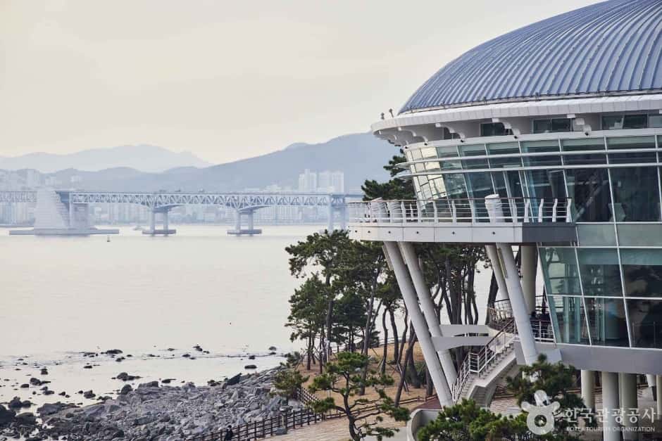 해운대 동백섬 — 반려동물 동반 관광지