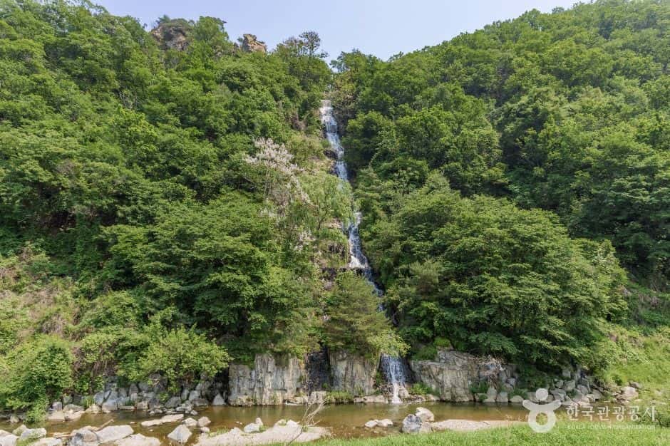 화도푸른물센터 피아노폭포 — 반려동물 동반 관광지