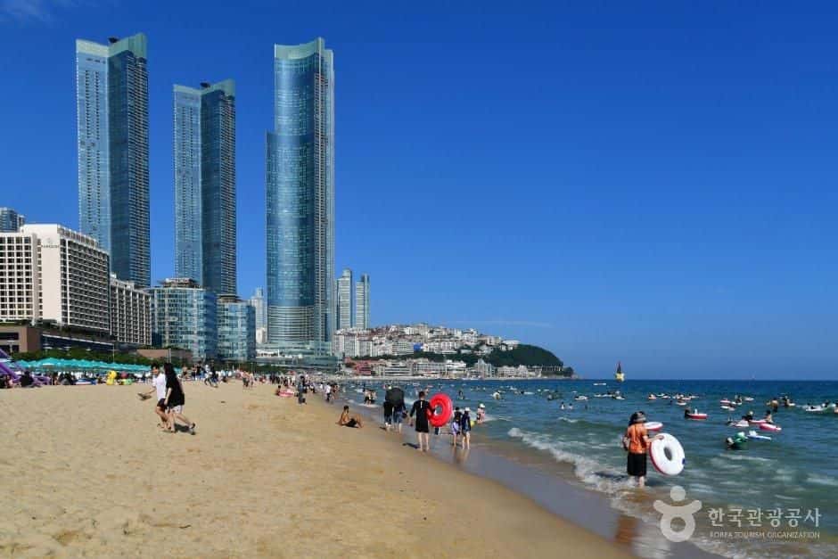 해운대해수욕장 — 반려동물 동반 관광지