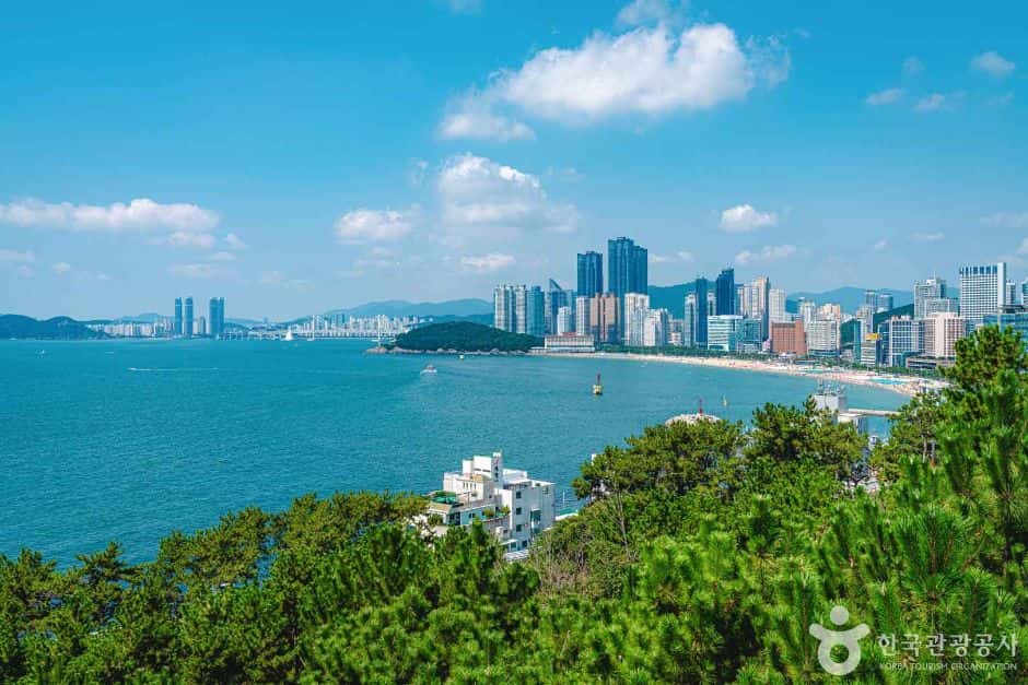해운대 달맞이길 — 반려동물 동반 관광지