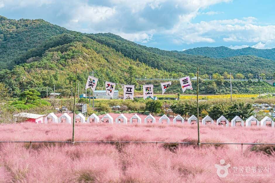 꽃객프로젝트 — 반려동물 동반 관광지