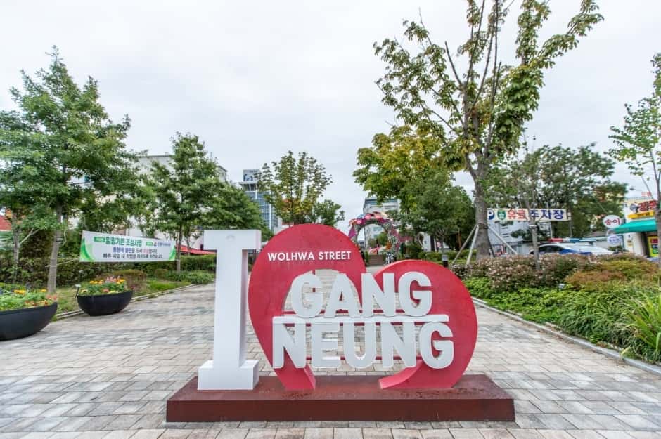 강릉 월화거리 — 반려동물 동반 관광지