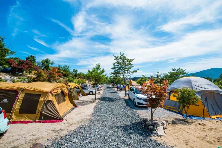 철원가산농원캠핑장 — 반려동물 동반 레포츠