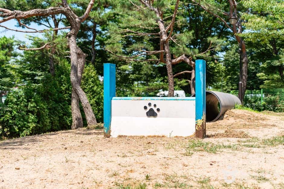 일산호수공원 반려견놀이터 — 반려동물 동반 관광지