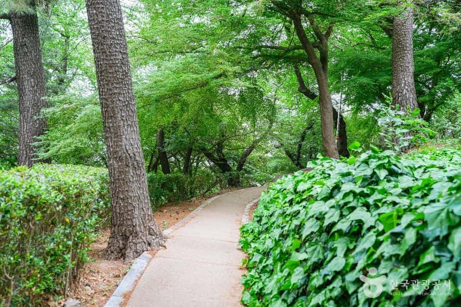 학성공원 — 반려동물 동반 관광지