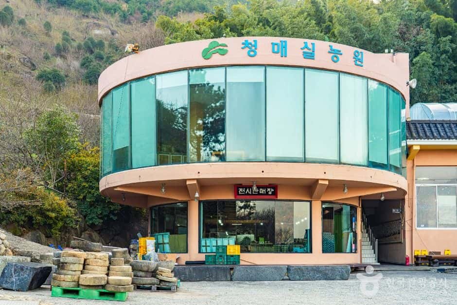 홍쌍리 청매실농원 — 반려동물 동반 관광지