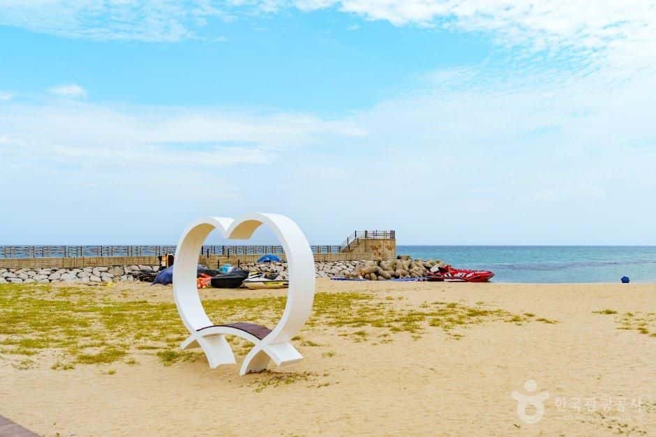 강문해변 — 반려동물 동반 관광지