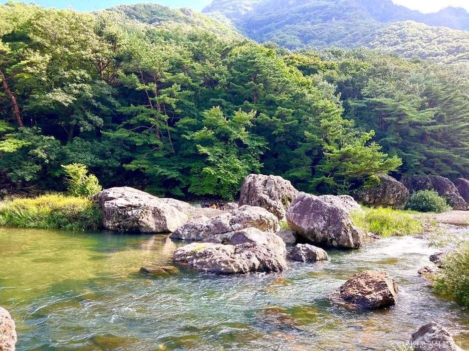 운일암 반일암 계곡 — 반려동물 동반 관광지