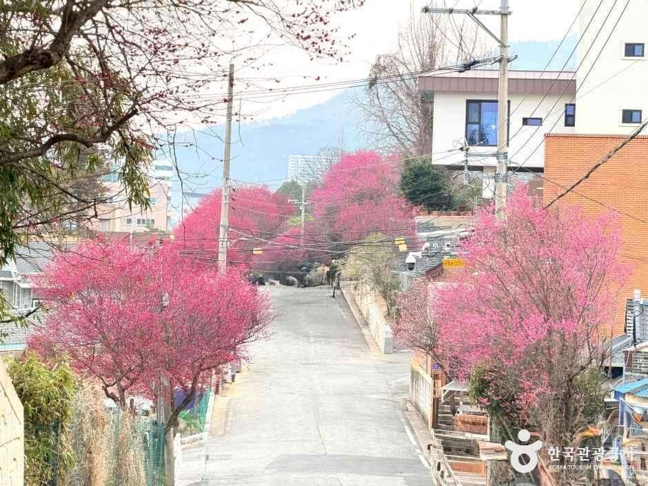 탐매마을 — 반려동물 동반 관광지