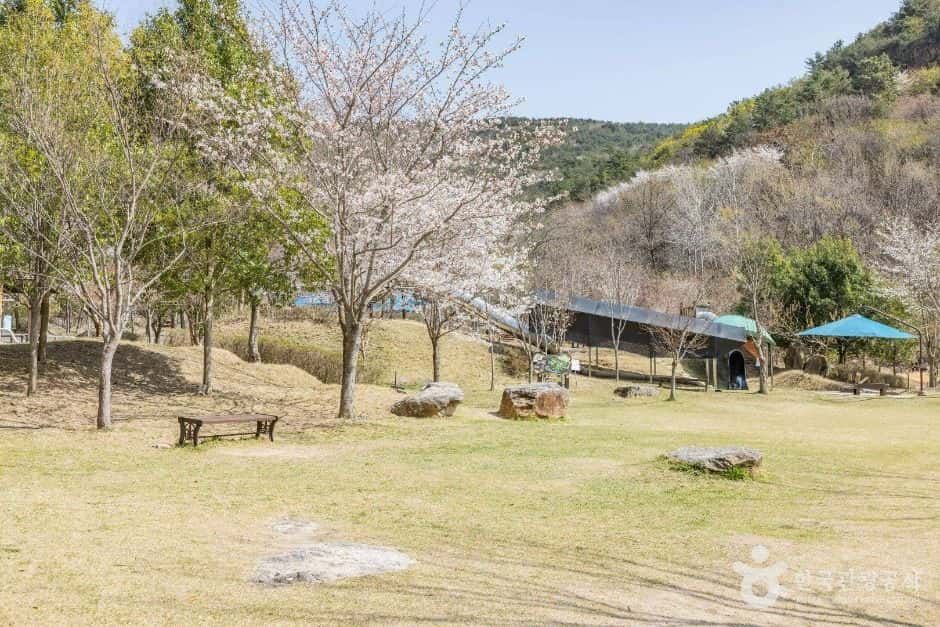 기적의놀이터 4호 올라올라 — 반려동물 동반 관광지